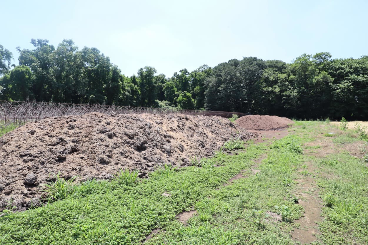 ベジタブルサービスコバヤシ　自家製たい肥