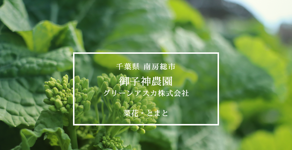 千葉県南房総市　御子神農園