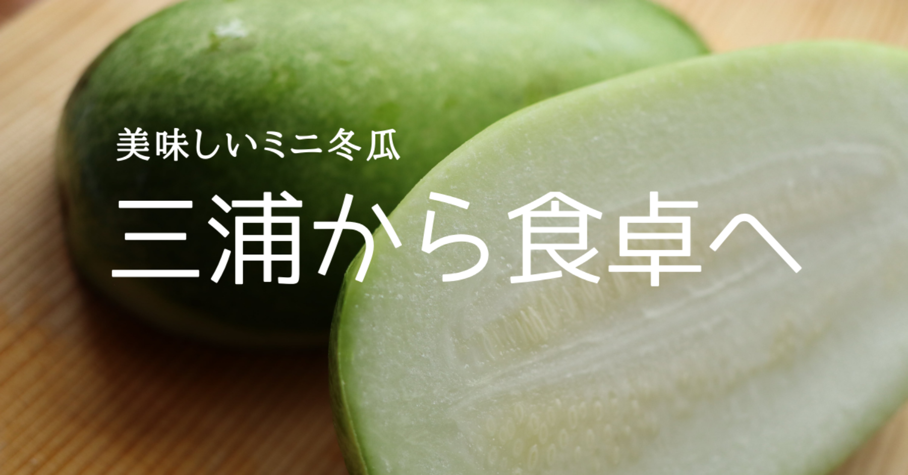 三浦市農協　ミニ冬瓜