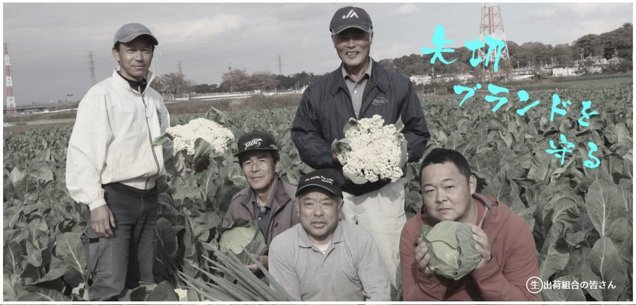 矢切地区の生産者さん