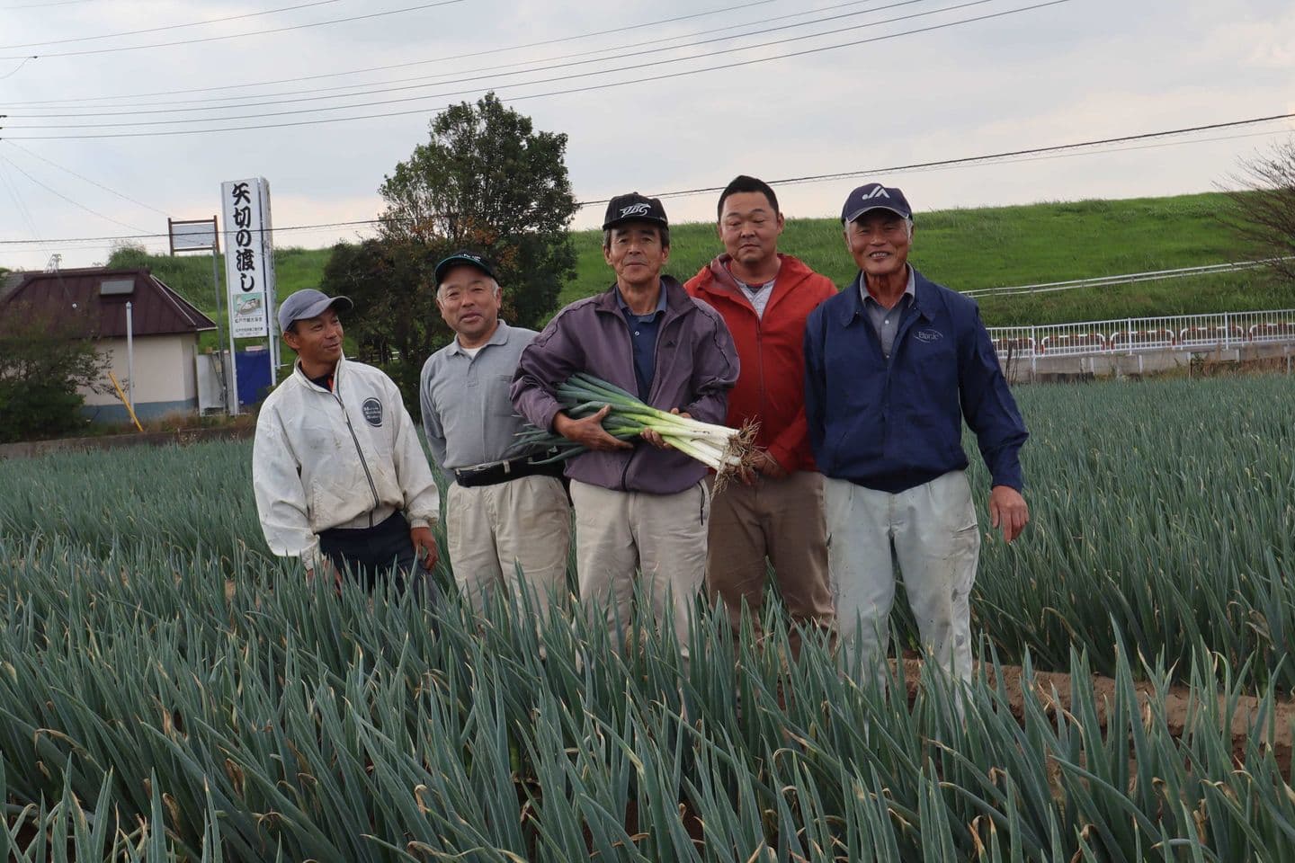 矢切ねぎ　生産者さん