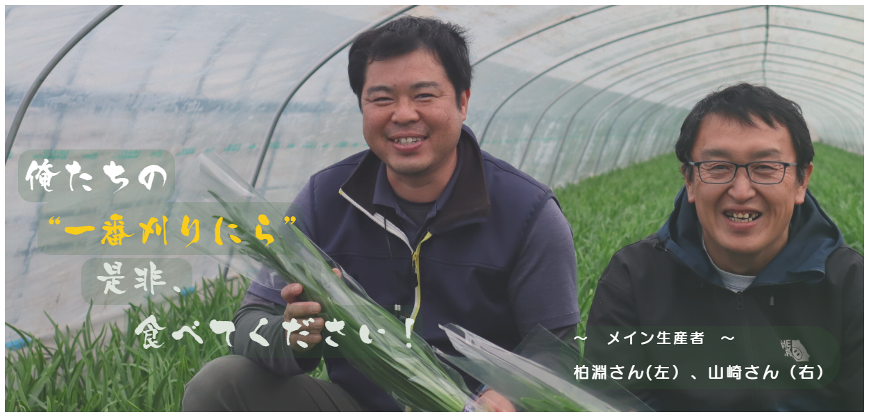 鹿沼にら組合の皆さん