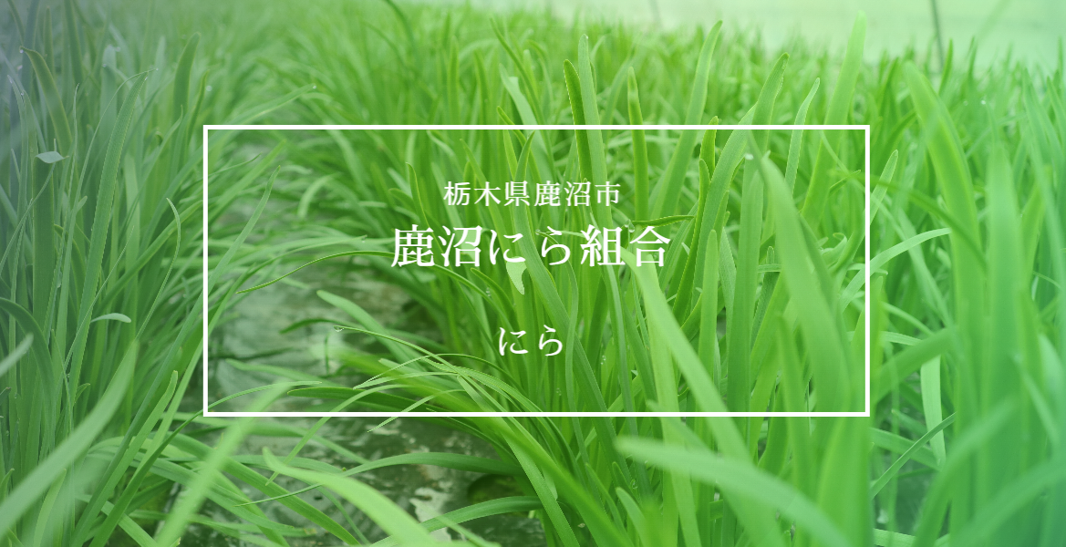 栃木県　鹿沼にら組合