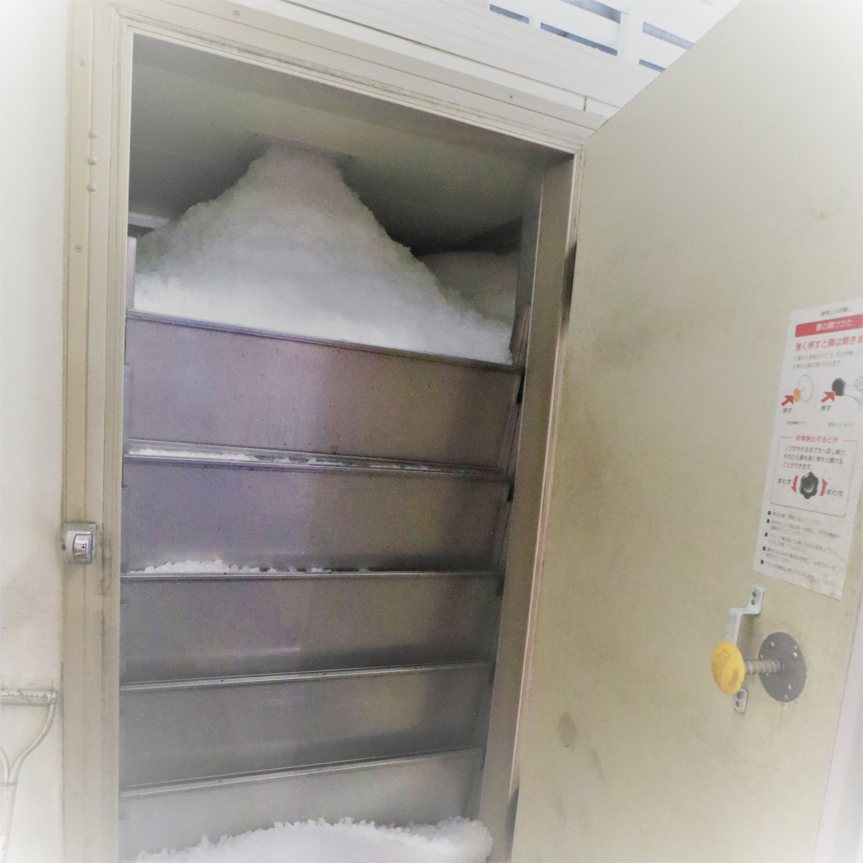 エムズフーズ　製氷機