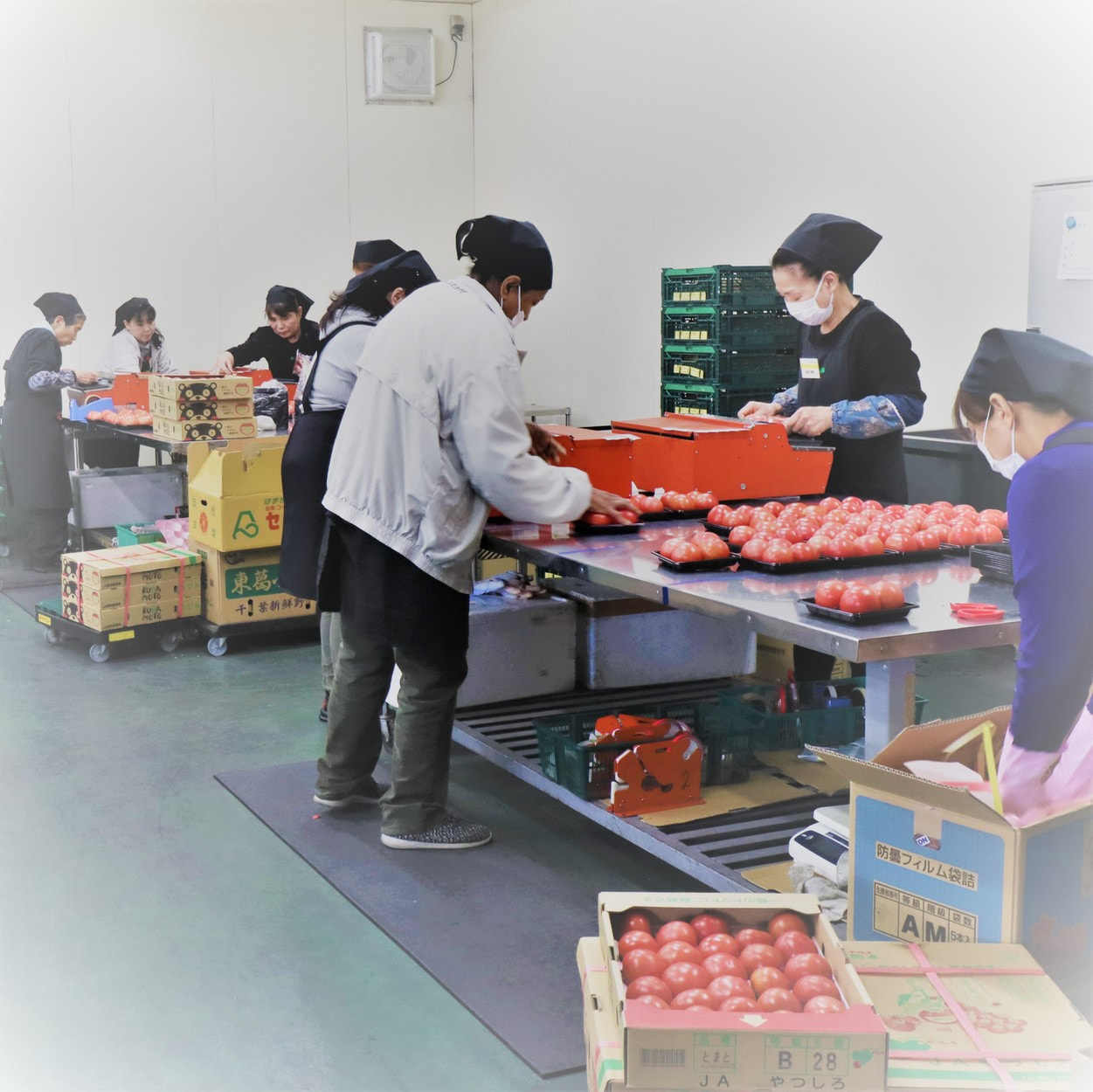 エムズフーズ　パッケージセンター